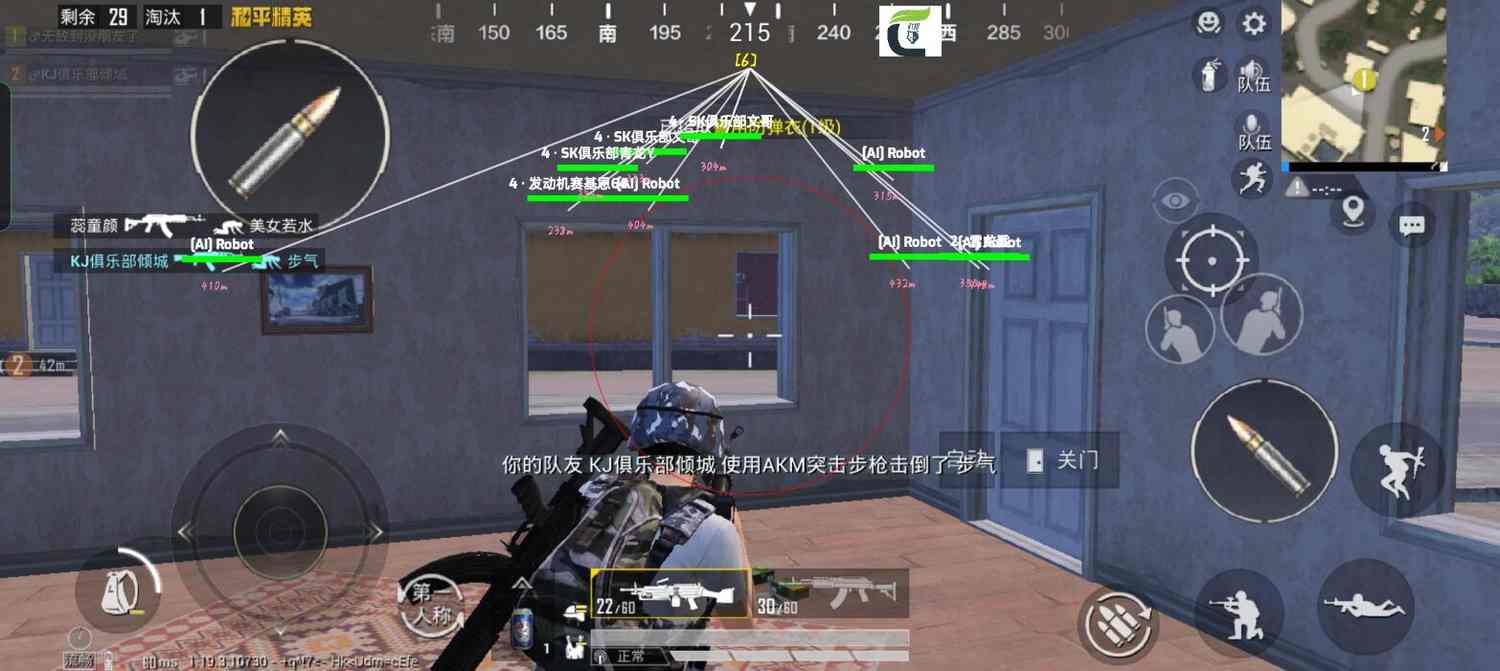 和平精英辅助得类型分为那些